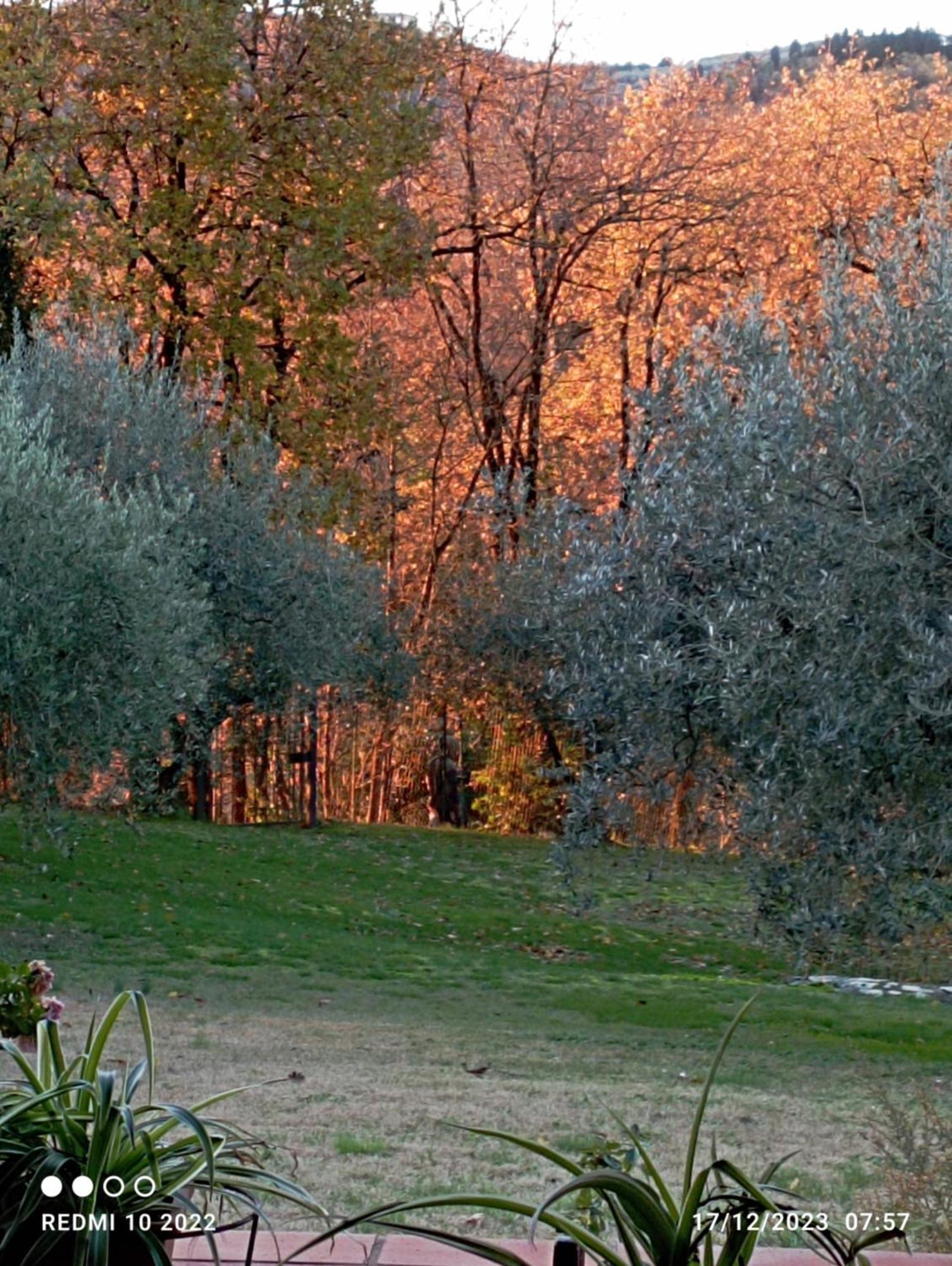 Villa Luna Comeana Exterior foto